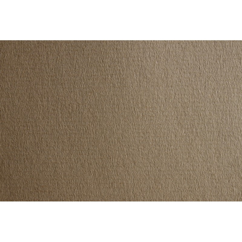 Fabriano Carta Ingres fogli 25 cm 50 x 70 Cenere