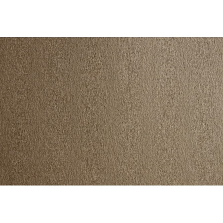 Fabriano Carta Ingres fogli 25 cm 50 x 70 Cenere
