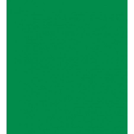 DAL GRADUATE ACRILICO 500ML VERDE SMERALDO