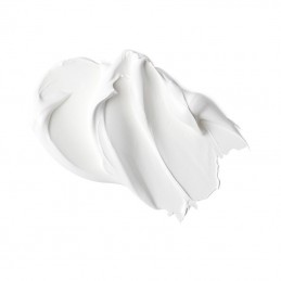 Lefranc&Bourgeois Gesso bianco 1000 ml per la pittura