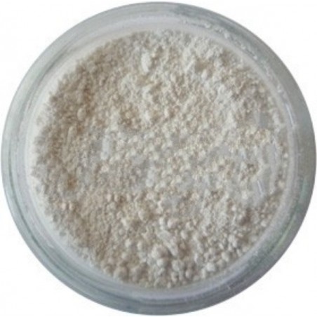 Pigmento primario Bianco extra contenitore plastica da 1 kg