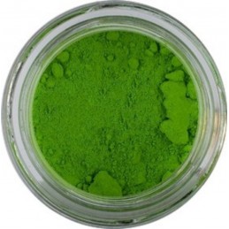 Pigmento Verde Etruria Giallastro contenitore plastica da 1 kg