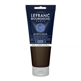 Acrilico Fine Lefranc&Bourgeois, 200 ml, Terra d'ombra naturale