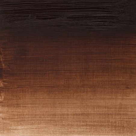 W&N Olio Winton - 3 TERRA D'OMBRA BRUCIATA