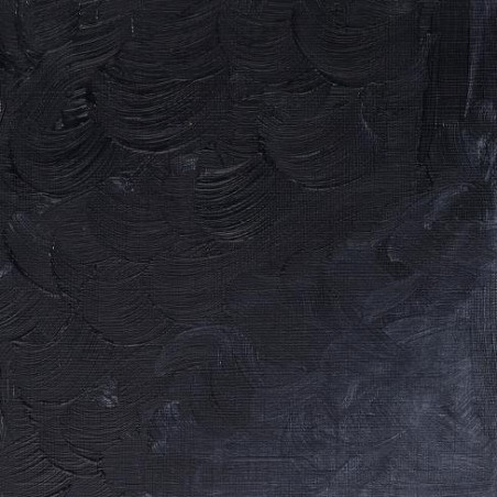 W&N Olio Winton - 32 GRIGIO DI PAYNE