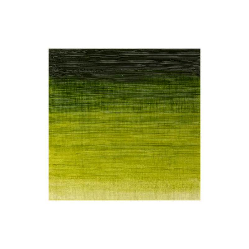 W&N Olio Winton - 37 VERDE VESCICA