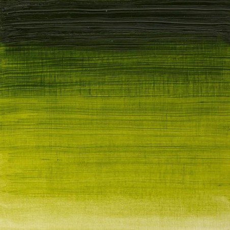 W&N Olio Winton - 37 VERDE VESCICA