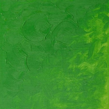 W&N Olio Winton - 48 VERDE CHIARO PERMANENTE