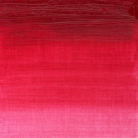 W&N Olio Winton - 49 ROSA PERMANENTE - P