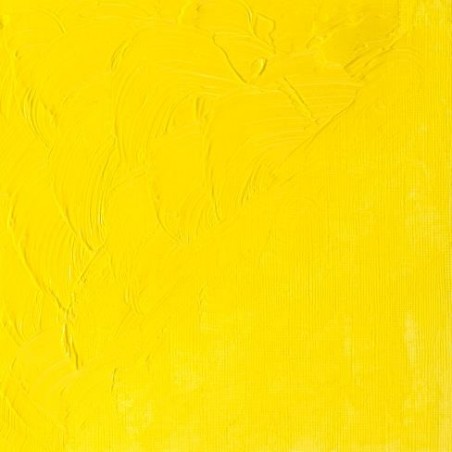 W&N Olio Winton - 7 GIALLO DI CADMIO LIMONE IMITAZIONE