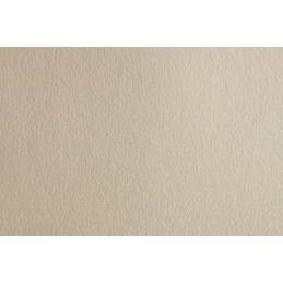 Fabriano Carta Ingres fogli 25 cm 50 x 70 Bianco