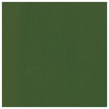 Maimeri olio Classico - Verde ossido di cromo