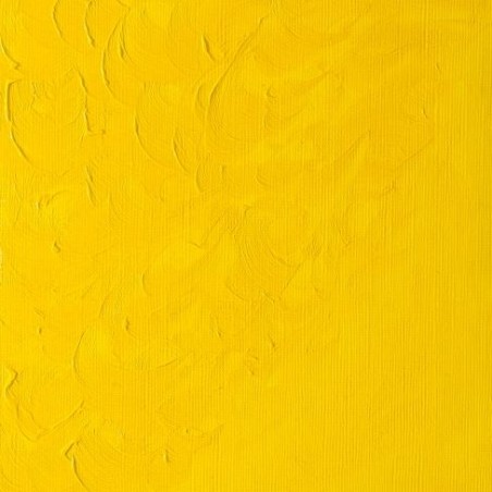 W&N Olio Winton - 13 GIALLO DI CROMO IMITAZIONE