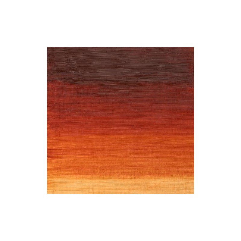 W&N Olio Winton - 2 TERRA DI SIENA BRUCIATA